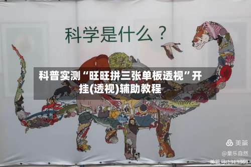 科普实测“旺旺拼三张单板透视”开挂(透视)辅助教程-第3张图片