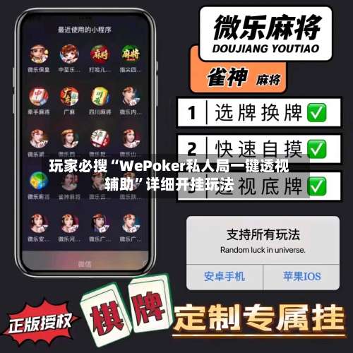 玩家必搜“WePoker私人局一键透视辅助	”详细开挂玩法-第2张图片