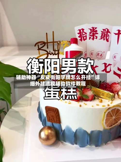 辅助神器“皮皮衡阳字牌怎么开挂”详细外挂透视辅助软件教程-第3张图片