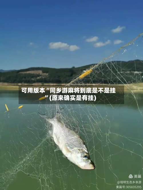 可用版本“同乡游麻将到底是不是挂	”(原来确实是有挂)-第1张图片