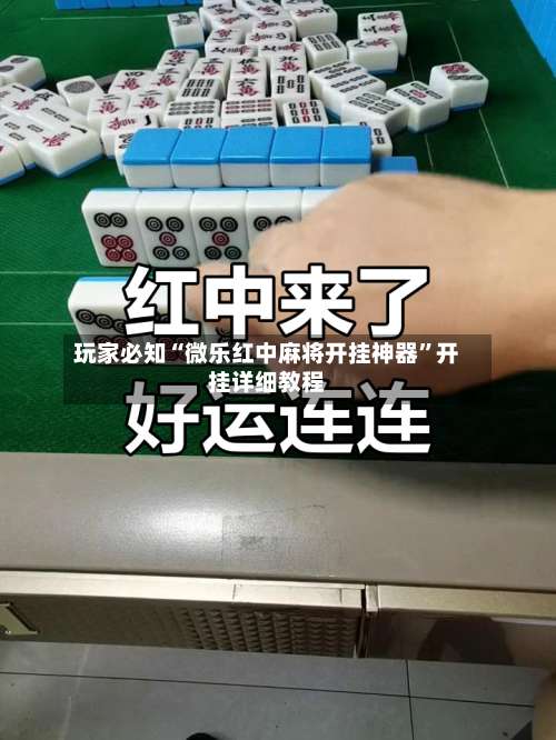 玩家必知“微乐红中麻将开挂神器	”开挂详细教程-第2张图片