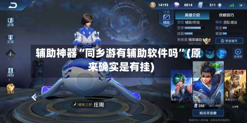 辅助神器“同乡游有辅助软件吗	”(原来确实是有挂)-第1张图片