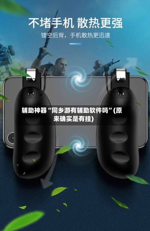 辅助神器“同乡游有辅助软件吗	”(原来确实是有挂)-第2张图片
