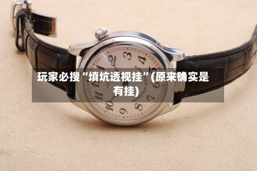 玩家必搜“填坑透视挂	”(原来确实是有挂)-第1张图片