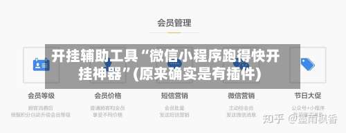 开挂辅助工具“微信小程序跑得快开挂神器”(原来确实是有插件)-第2张图片