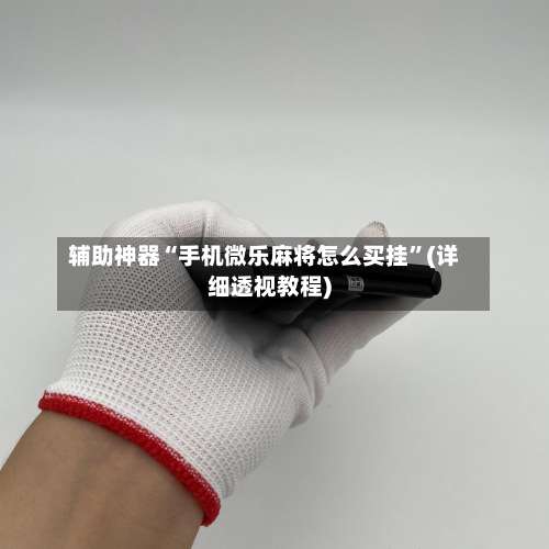 辅助神器“手机微乐麻将怎么买挂”(详细透视教程)-第2张图片