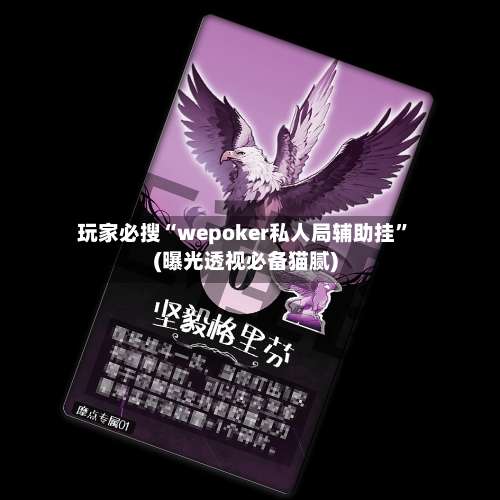 玩家必搜“wepoker私人局辅助挂”(曝光透视必备猫腻)-第2张图片