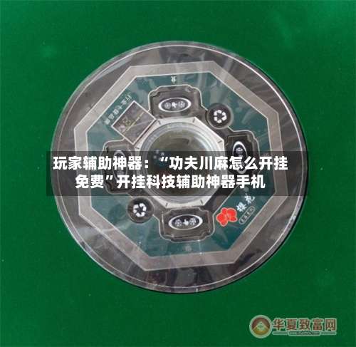 玩家辅助神器：“功夫川麻怎么开挂免费”开挂科技辅助神器手机-第3张图片