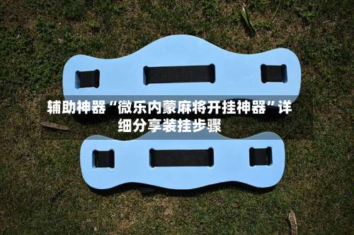 辅助神器“微乐内蒙麻将开挂神器”详细分享装挂步骤-第2张图片
