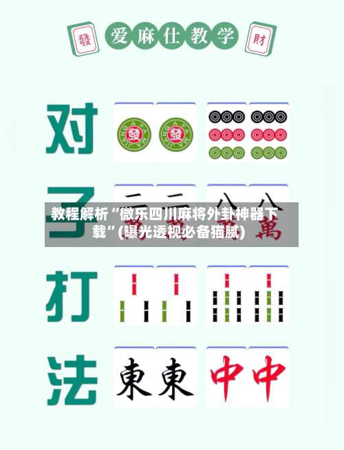 教程解析“微乐四川麻将外卦神器下载	”(曝光透视必备猫腻)-第2张图片