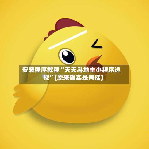 安装程序教程“天天斗地主小程序透视	”(原来确实是有挂)-第1张图片