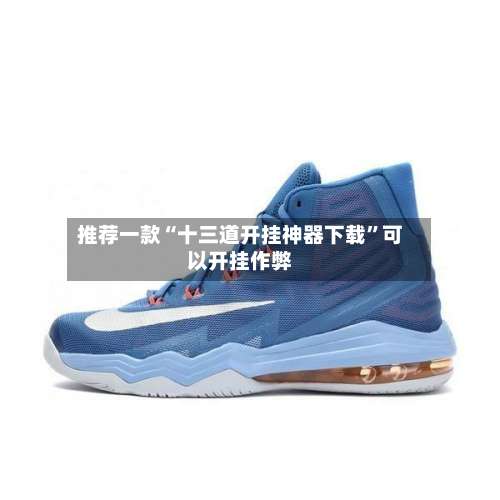 推荐一款“十三道开挂神器下载	”可以开挂作弊-第2张图片