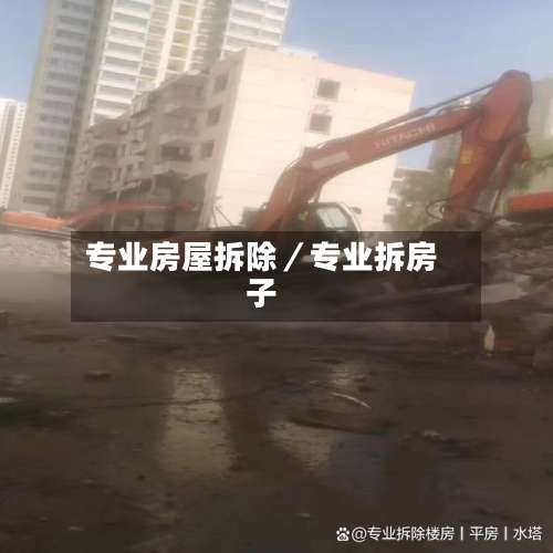 专业房屋拆除/专业拆房子-第1张图片