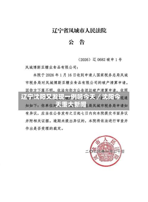 辽宁沈阳又发现一例吗今天/沈阳今天重大新闻-第2张图片