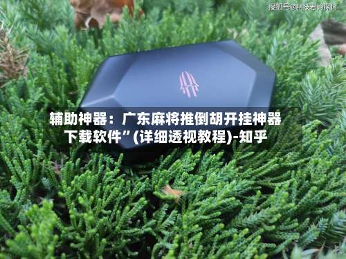 辅助神器：广东麻将推倒胡开挂神器下载软件	”(详细透视教程)-知乎-第1张图片