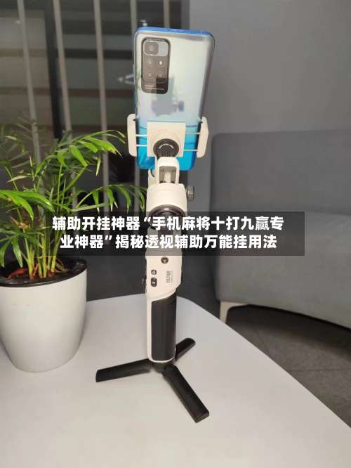 辅助开挂神器“手机麻将十打九赢专业神器		”揭秘透视辅助万能挂用法-第1张图片