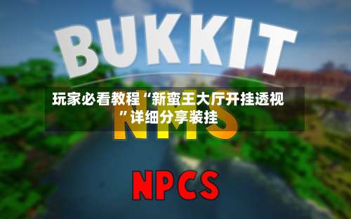 玩家必看教程“新蛮王大厅开挂透视	”详细分享装挂-第2张图片