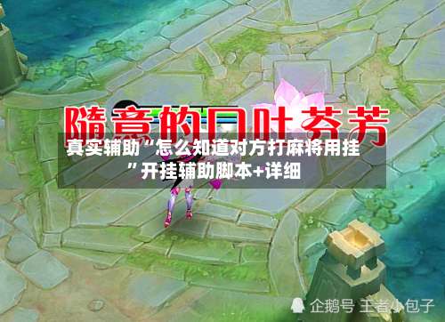 真实辅助“怎么知道对方打麻将用挂”开挂辅助脚本+详细-第1张图片