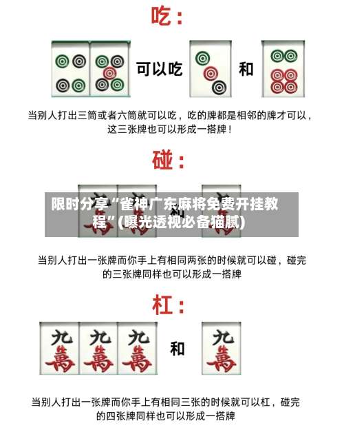 限时分享“雀神广东麻将免费开挂教程		”(曝光透视必备猫腻)-第1张图片