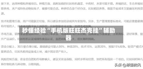 秒懂经验“手机版旺旺杰克挂	”辅助器-第1张图片