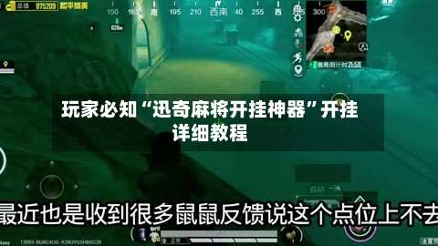 玩家必知“迅奇麻将开挂神器”开挂详细教程-第2张图片