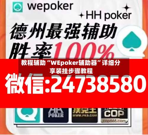 教程辅助“WEpoker辅助器”详细分享装挂步骤教程-第3张图片
