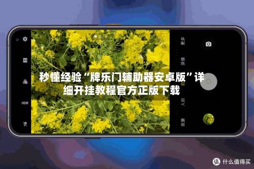 秒懂经验“牌乐门辅助器安卓版		”详细开挂教程官方正版下载-第2张图片