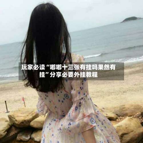玩家必读“嘟嘟十三张有挂吗果然有挂”分享必要外挂教程-第1张图片