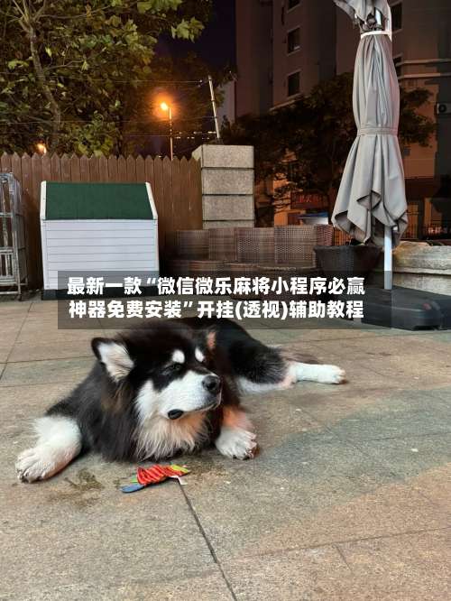 最新一款“微信微乐麻将小程序必赢神器免费安装”开挂(透视)辅助教程-第2张图片