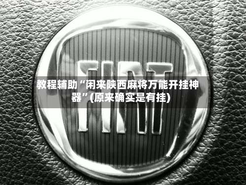 教程辅助“闲来陕西麻将万能开挂神器	”(原来确实是有挂)-第1张图片