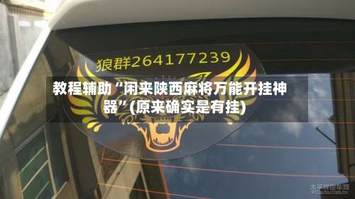 教程辅助“闲来陕西麻将万能开挂神器	”(原来确实是有挂)-第2张图片