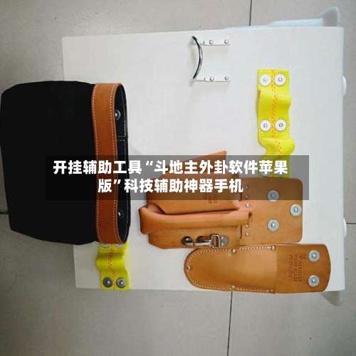 开挂辅助工具“斗地主外卦软件苹果版	”科技辅助神器手机-第1张图片