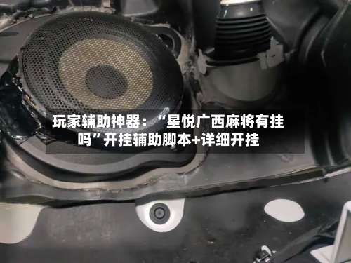 玩家辅助神器：“星悦广西麻将有挂吗	”开挂辅助脚本+详细开挂-第3张图片