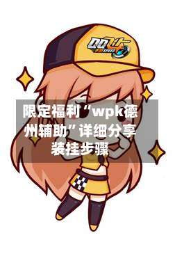 限定福利“wpk德州辅助	”详细分享装挂步骤-第2张图片