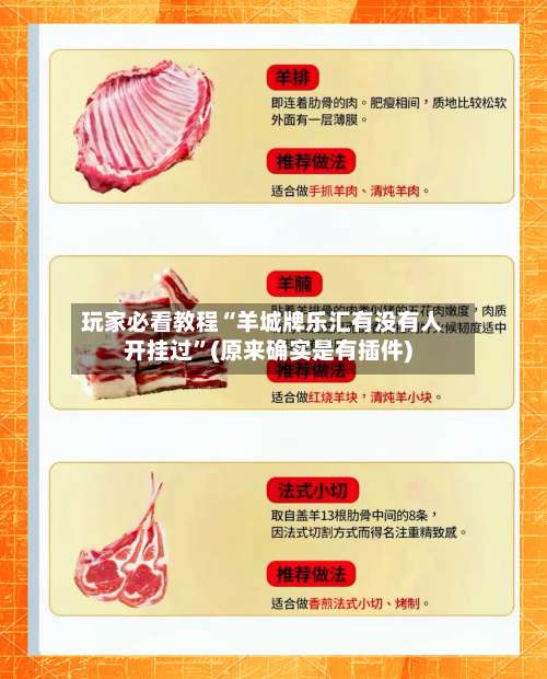 玩家必看教程“羊城牌乐汇有没有人开挂过”(原来确实是有插件)-第2张图片