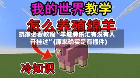 玩家必看教程“羊城牌乐汇有没有人开挂过		”(原来确实是有插件)-第1张图片