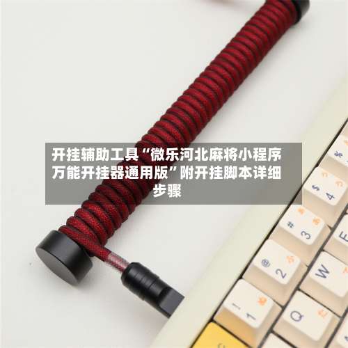 开挂辅助工具“微乐河北麻将小程序万能开挂器通用版”附开挂脚本详细步骤-第1张图片