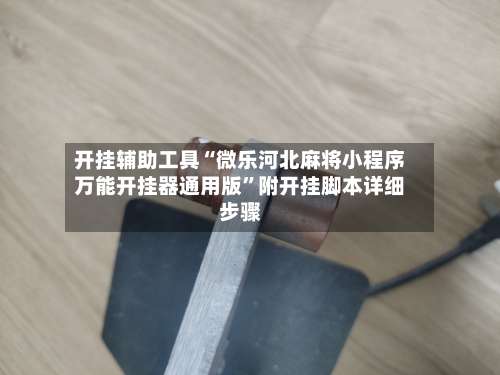 开挂辅助工具“微乐河北麻将小程序万能开挂器通用版		”附开挂脚本详细步骤-第2张图片