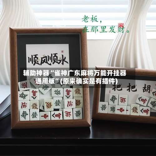辅助神器“雀神广东麻将万能开挂器通用版	”(原来确实是有插件)-第2张图片