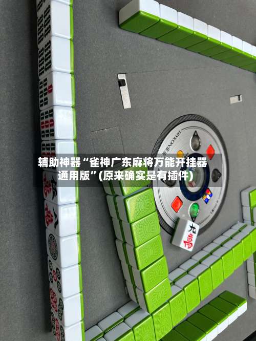 辅助神器“雀神广东麻将万能开挂器通用版	”(原来确实是有插件)-第3张图片