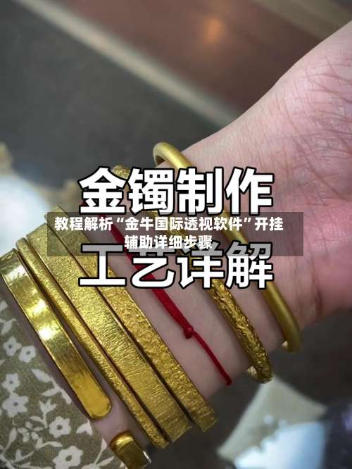 教程解析“金牛国际透视软件		”开挂辅助详细步骤-第2张图片