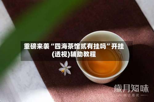 重磅来袭“四海茶馆贰有挂吗”开挂(透视)辅助教程-第3张图片