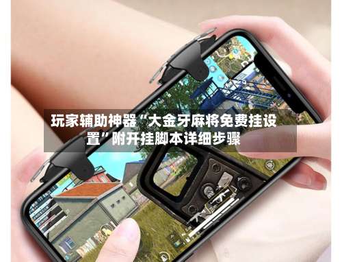 玩家辅助神器“大金牙麻将免费挂设置	”附开挂脚本详细步骤-第3张图片