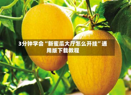 3分钟学会“新蜜瓜大厅怎么开挂”通用版下载教程-第2张图片