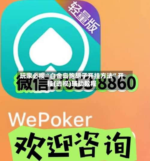 玩家必搜“白金岛跑胡子开挂方法		”开挂(透视)辅助教程-第2张图片