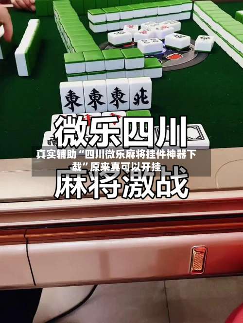 真实辅助“四川微乐麻将挂件神器下载”原来真可以开挂-第1张图片