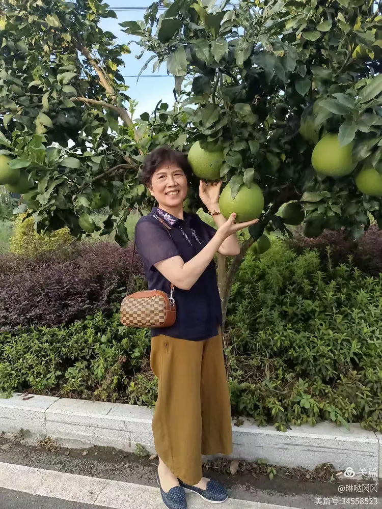 查到实测辅助“乐乐川南字牌有没有挂”分享装挂详细步骤-第1张图片