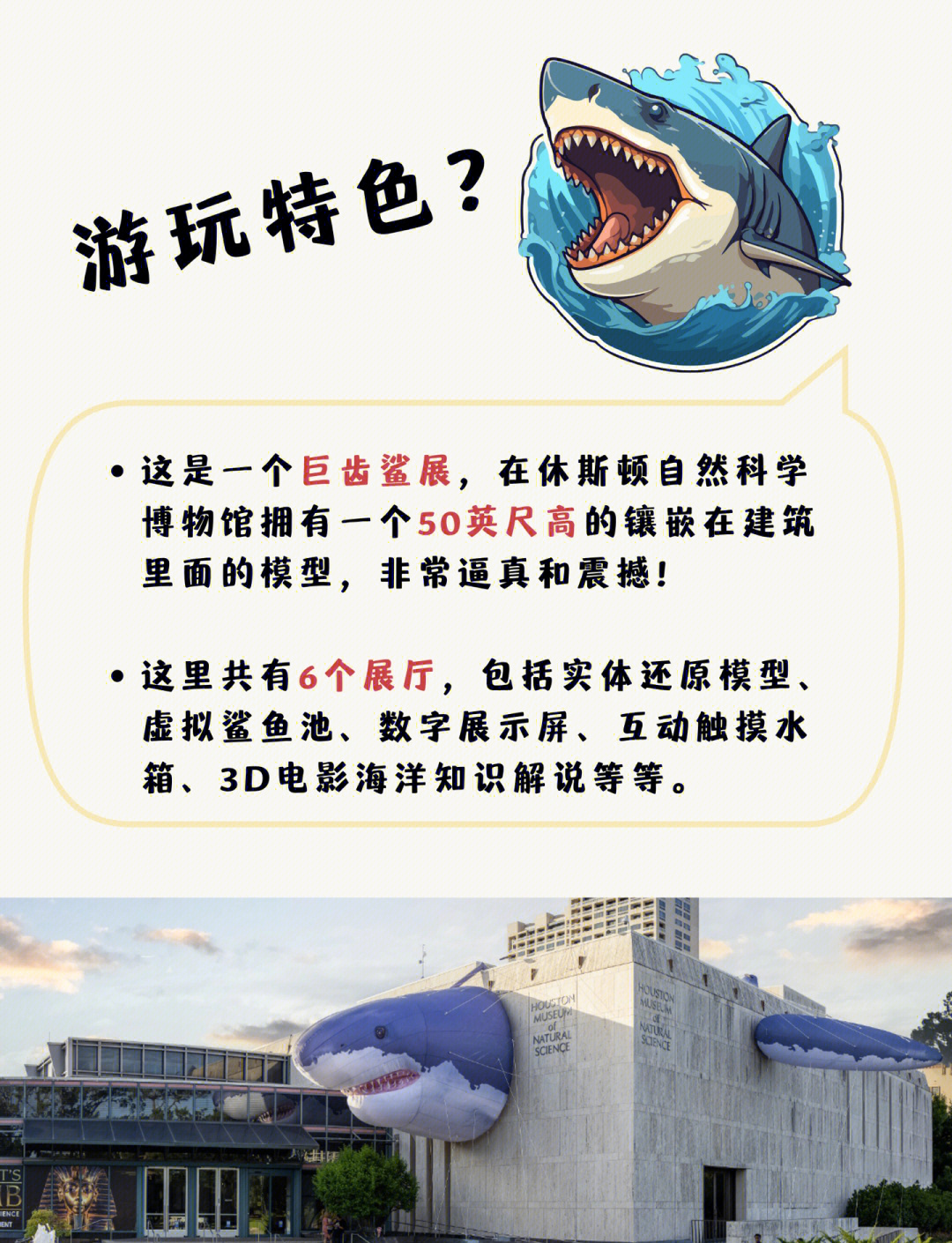 给大家科普一下“鲨鱼互动秦皇岛麻将有挂吗”分享装挂详-第2张图片