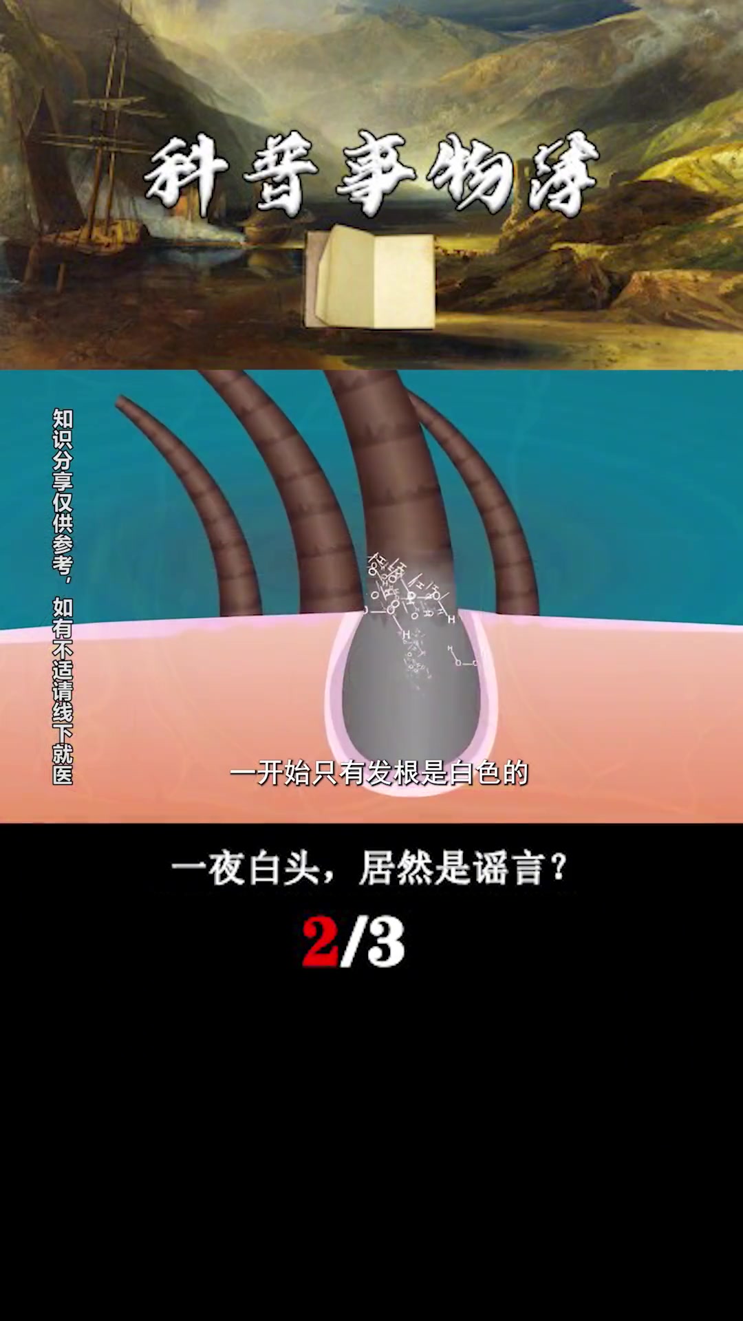 科普一下“白金岛免费挂	”确实真的有挂-第3张图片