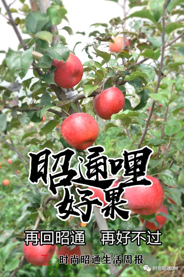查到实测辅助“镇雄关春天控制牌怎么玩	”实际有挂-第1张图片